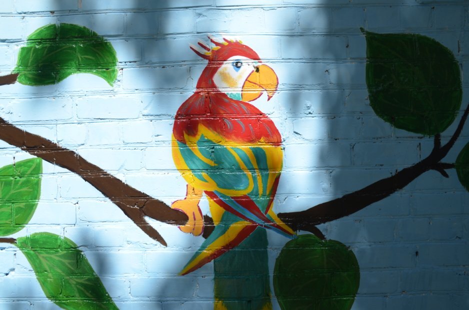Уличное искусство в Днепре: жительница города создает яркие картины на стенах домов - рис. 7