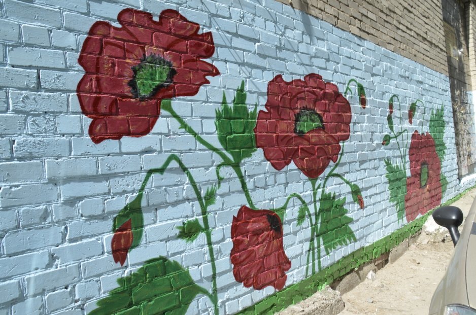 Уличное искусство в Днепре: жительница города создает яркие картины на стенах домов - рис. 2