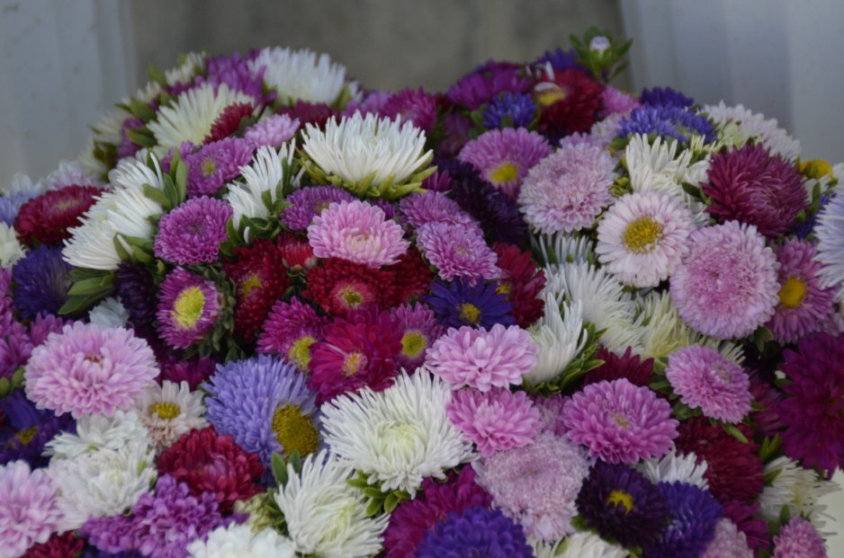 Цветочный бум: насколько дорожают букеты в канун 1-го сентября - рис. 2