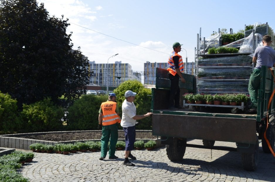 Как озеленяют Днепр перед Днём города - рис. 1