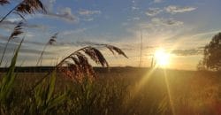 Без осадков: какой будет погода в Днепре 26 октября - рис. 2